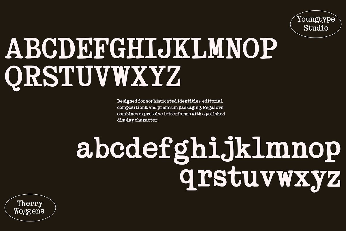 Therry Woggens - Handwritten, a Handwritten Font by Youngtype.Std (Photo 10 of 15)