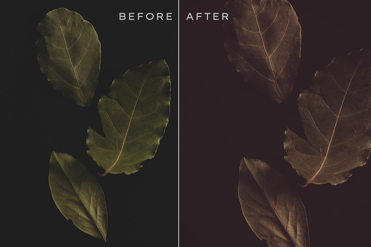 290 Matte Lightroom Presets Bundle, an Action Add-On by RamsaGraphi (Photo 4 of 12)