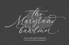 Maryland Brawlmer