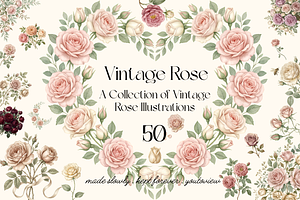 Vintage Rose Botanical Illustrations