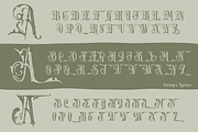 Dasimyra Antique Typeface, a Blackletter Font by TypeClassHeroes (Thumbnail 8 of 10)