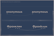 Golden Decades, a Sans Serif Font by Dharma Type (Thumbnail 3 of 12)