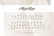 Marsheleena - Stylistic Serif Font, a Script Font by Font De Rico (Thumbnail 8 of 8)