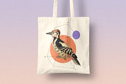 122 Vintage Illustrations of Birds, an Animal Illustration by Graphic Goods (Thumbnail 4 of 14)