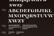 Imagist Intro Super Sale!, a Serif Font by Fenotype (Thumbnail 10 of 10)