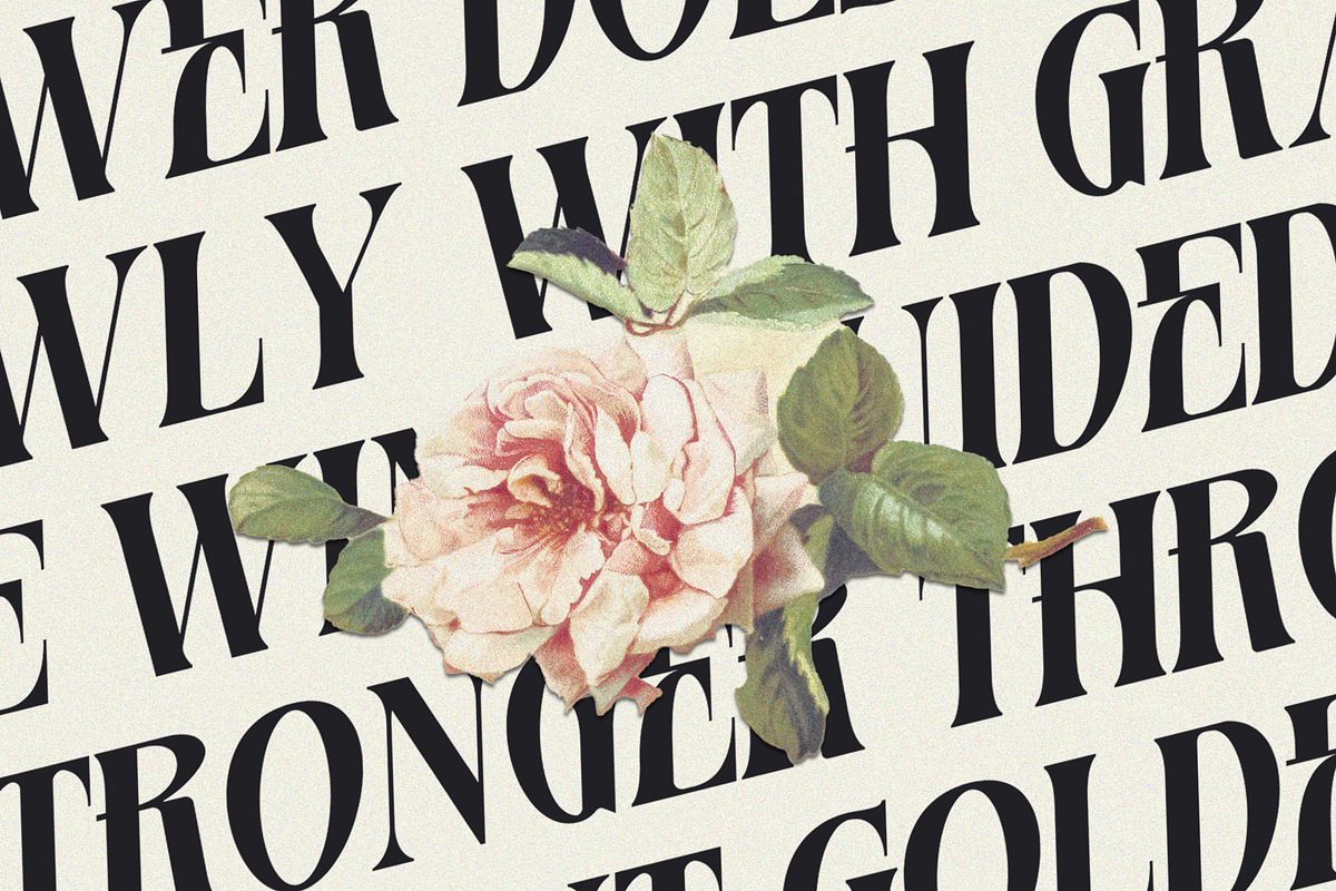 Basurist - Unique Modern Serif Bold, a Serif Font by Nokturnal13 (Photo 3 of 14)
