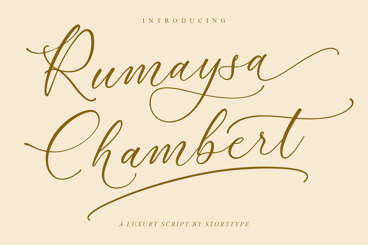 Rumaysa Chambert Luxury Script, a Serif Font by Storytype Studio (Photo 1 of 16)