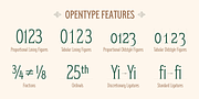 Herschel, a Serif Font by Tried & True Supply Co. (Thumbnail 8 of 16)
