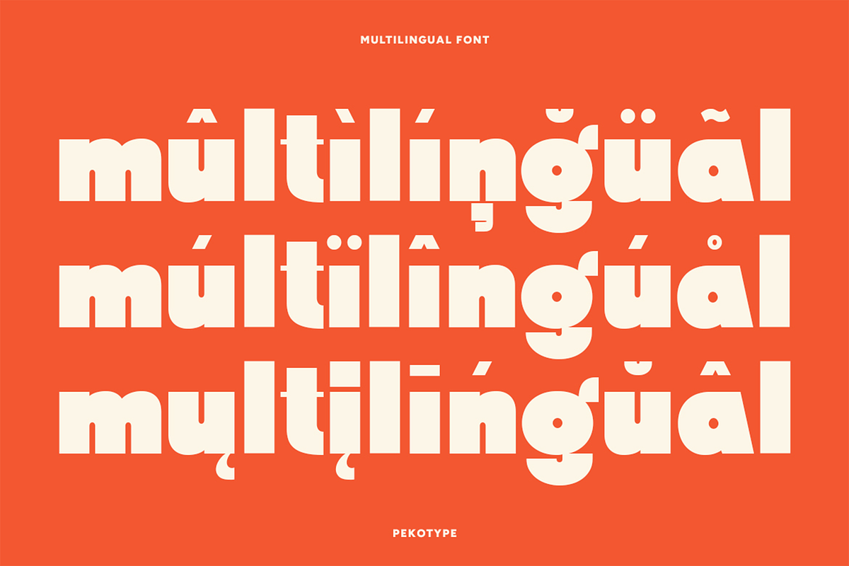 Swedis - Vintage Bold Font, a Sans Serif Font by Pekotype (Photo 12 of 16)
