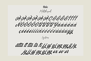 Blackbird - Script Typeface, a Script Font by overlaytemplates (Thumbnail 7 of 7)