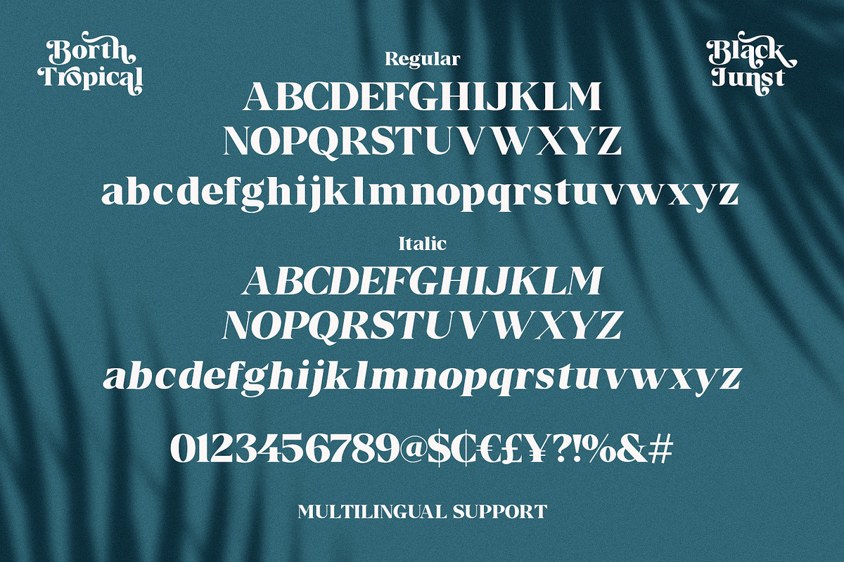 Borth Tropical Serif, a Serif Font by Black Junst (Photo 6 of 13)