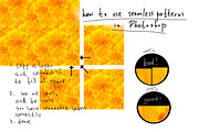 Seamless. Photography set, a Pattern Graphic by Pullia (Thumbnail 2 of 2)