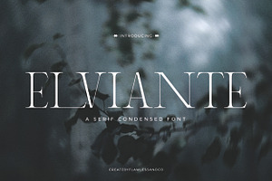 Elviante - Condensed Serif Font, a Serif Font by Flawless And Co