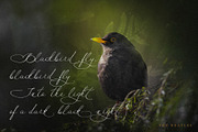 Maria Louisa Script Font, a Script Font by MLT DESIGN LAB (Thumbnail 5 of 16)