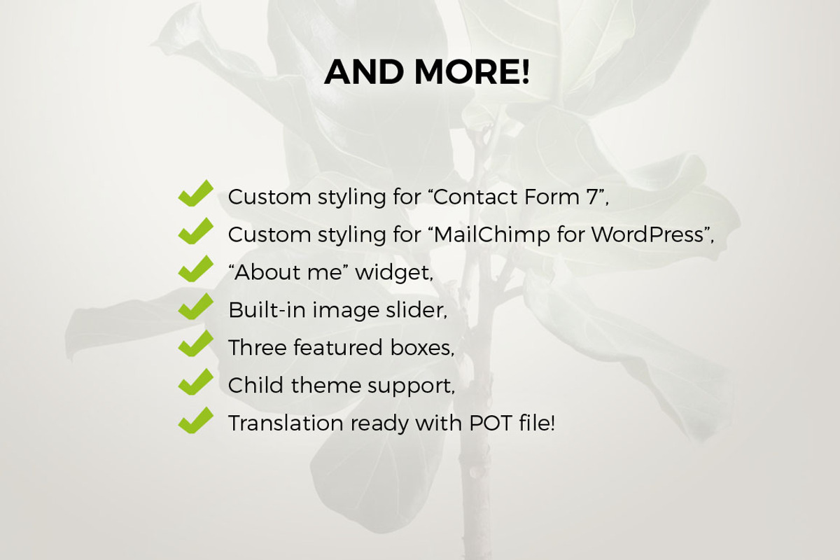 Minimal Wordpress Blog - TheWayIlive, a WordPress Template by LucaThemesCom (Photo 5 of 5)