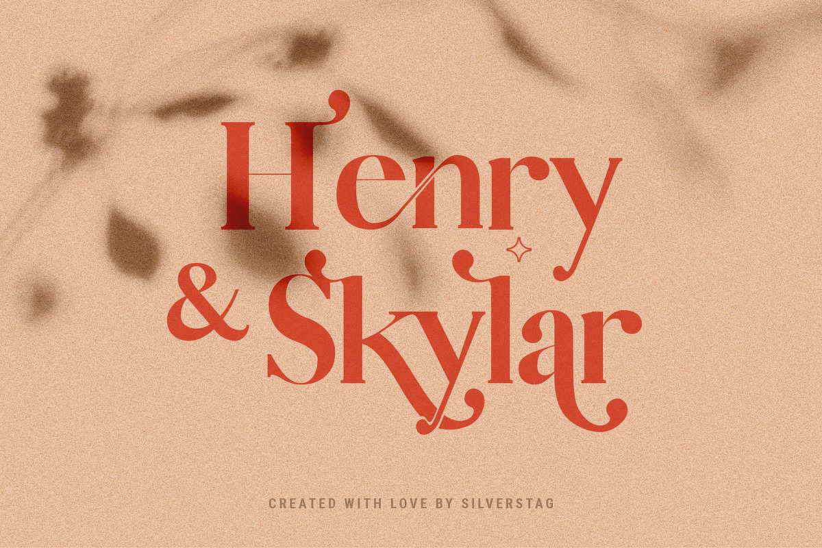 Vicky Christina Ligature Serif Font, a Serif Font by SilverStag Type Foundry (Photo 7 of 25)