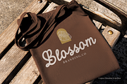 Caspian | Monoline Script, a Script Font by Denustudios (Thumbnail 12 of 15)