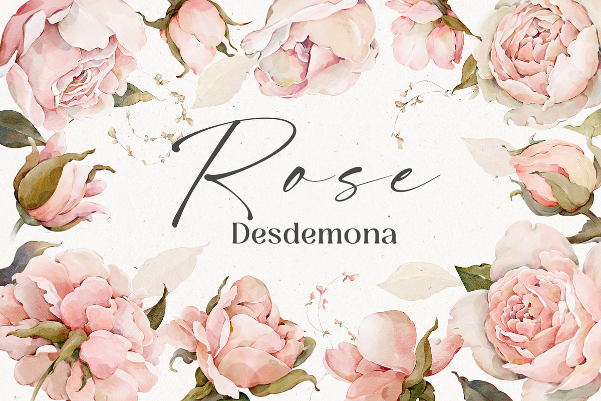 Watercolor Rose Floral Elements, a Decorative Illustration by Damian Roh (Photo 1 of 13)
