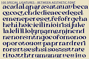 Between Aesthetic Font, a Serif Font by 177Studio (Thumbnail 7 of 8)