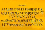 Jarekuh, a Serif Font by Differentialtype (Thumbnail 8 of 10)