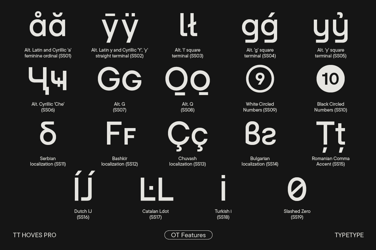 TT Hoves Pro Basic, a Font by TypeType (Photo 4 of 9)