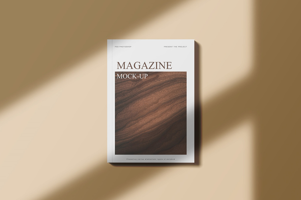 Magazine Mockups, a Books & Magazine Mockup by Sweetdady (Photo 4 of 12)