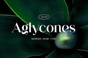 Aglycones Elegant Serif Display Font