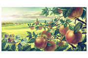 Apple set, a Food Illustration by Countryside life (Thumbnail 7 of 12)