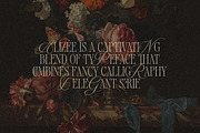 Alizee - Classy Hybrid Serif, a Serif Font by Harmonais Visual (Thumbnail 2 of 29)