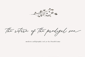 Hermitage Modern Calligraphy Font