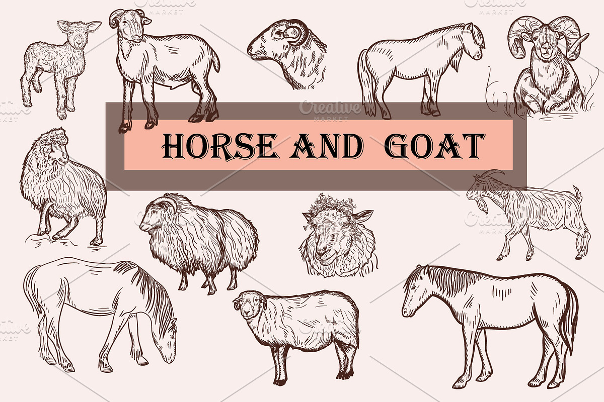 FARM ANIMALS BUNDLE, an Animal Illustration by IPVector (Photo 3 of 9)