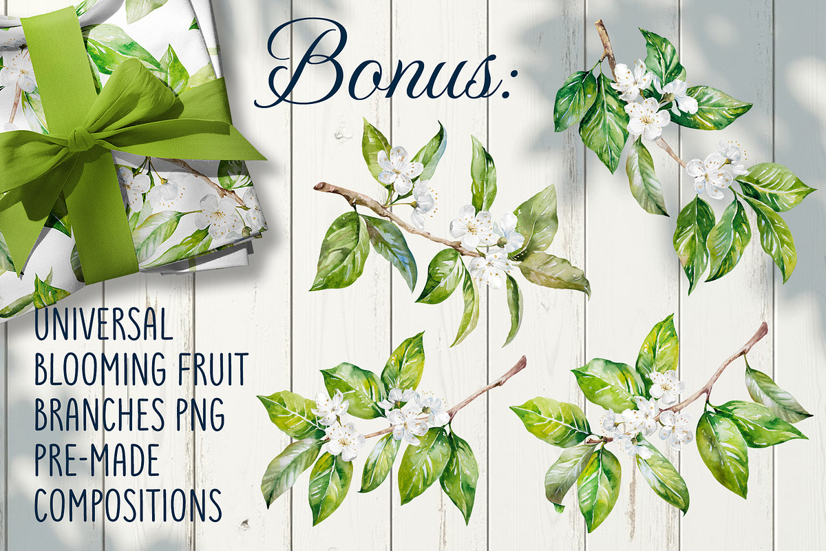 Blooming plum watercolor clipart, a Decorative Illustration by Eva Kleinman (Photo 14 of 14)