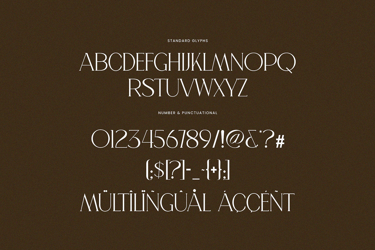 Lecmer Elegant Ligature Serif Font, a Serif Font by Perfectype (Photo 7 of 8)