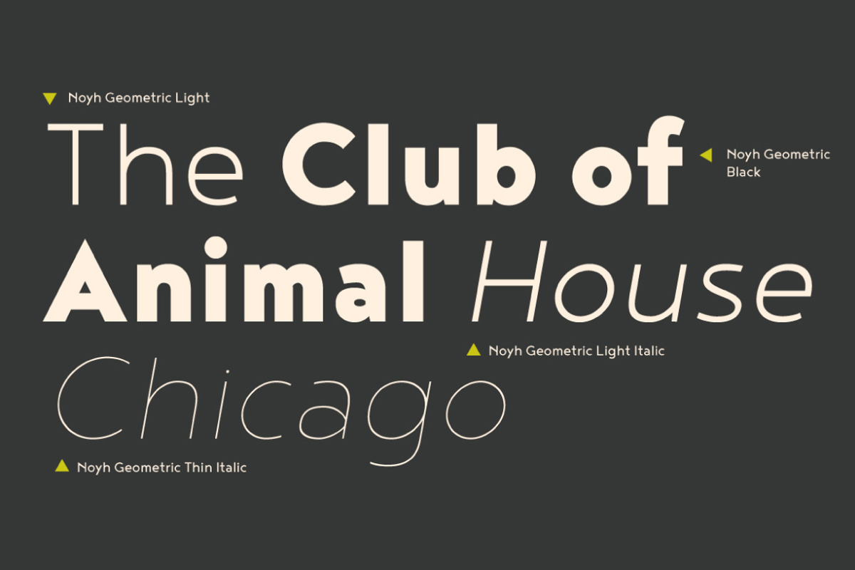 Noyh Geometric, a Sans Serif Font by Typesketchbook Foundry (Photo 7 of 7)