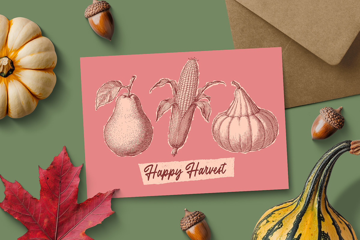 Vintage Autumn Illustrations, a Seasonal Illustration by Graphic Goods (Photo 4 of 8)