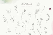 Meadow Mist: Pencil Floral Sketches, a Decorative Illustration by Yuliia Lashevska (Thumbnail 11 of 12)