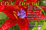 C&lc Uncial: caps & lowercase, a Script Font by Radiqx Press (Thumbnail 3 of 3)