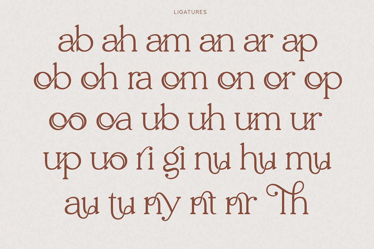 Thaknus, a Serif Font by Sealoung (Photo 18 of 19)