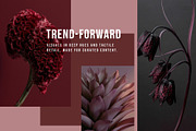 Dark Floral & Mineral Stock Photos, a Nature Photo by Tale.Haus (Thumbnail 5 of 17)