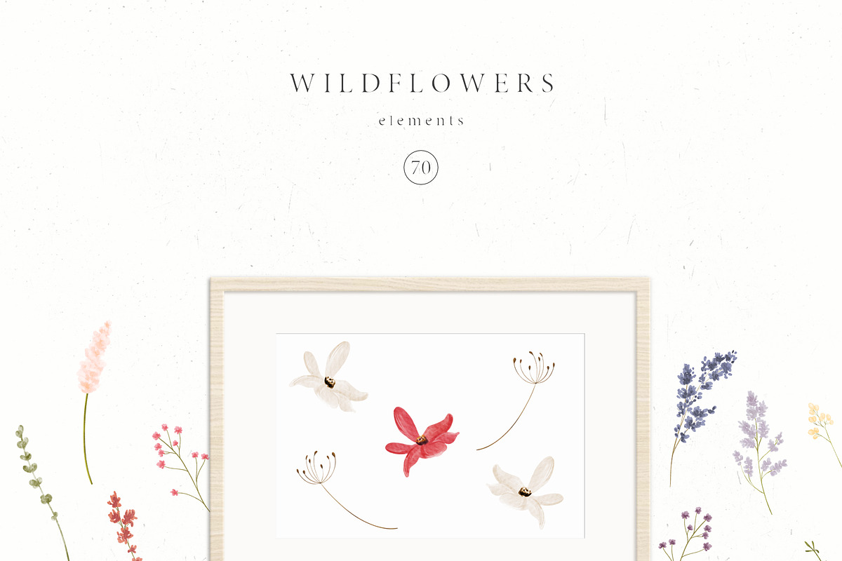Wildflowers, an Illustration by Blossom (Photo 8 of 9)