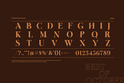 Best October Elegant Serif Font, a Serif Font by Perfectype (Thumbnail 8 of 8)