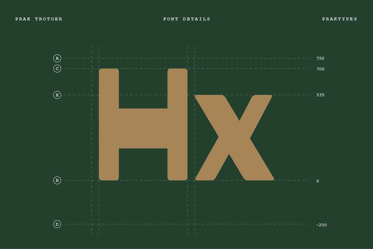 PRAK Trotoer - Vintage Display Font, a Sans Serif Font by Healltica.std (Photo 3 of 27)