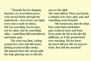 Gertrude - An Ornamental Serif, a Font by Press & Pen (Thumbnail 6 of 9)