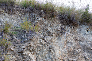 Unstable cliff face with grass growing on top and risk of landslide, a Nature Photo by Antonio Gravante Market