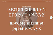 Valleki - Beautiful Serif Font, a Serif Font by Aqeel_Art (Thumbnail 10 of 12)