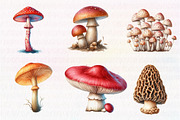 Watercolor Mushroom Clipart, an Illustration by CreationArt (Thumbnail 2 of 7)