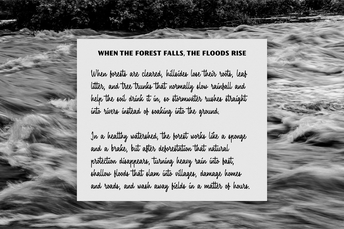 Fairforest - Font Duo, a Handwritten Font by Adam Fathony (Photo 4 of 17)