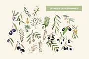 Olive Garden Watercolor Collection, an Illustration by Spirit of Colors (Thumbnail 2 of 6)