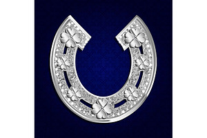 Silver And Gold Horseshoes Set