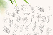 TROPICAL PARADISE birds and plants, a Decorative Illustration by Yuliia Lashevska (Thumbnail 12 of 14)